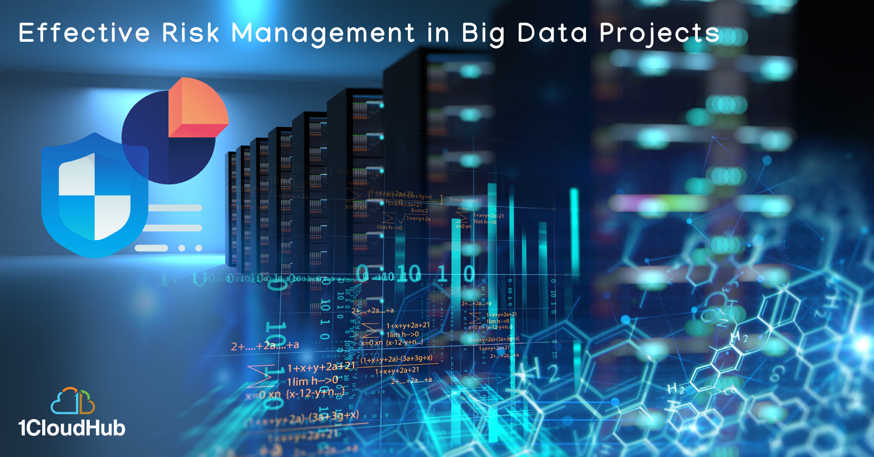 Effective Risk Management in Big Data Projects