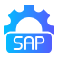 <b>SAP-to-Cloud Transitions</b>